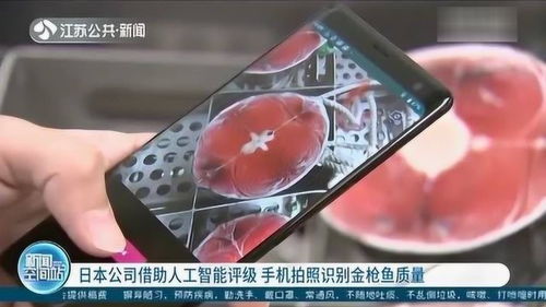 日本公司研发人工智能评级系统 用手机拍照识别金枪鱼质量，引领AI应用软件开发新浪潮