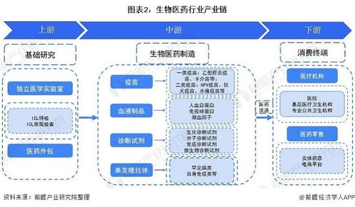 预见2021 中国生物医药行业全景图谱、市场现状、竞争格局与发展趋势，及人工智能应用软件开发机遇